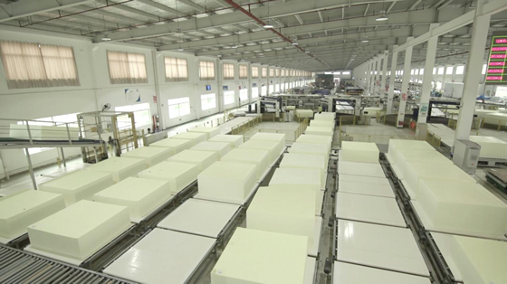 国际知名家具品牌首选的w66来利国际旗舰厅海棉，即将重磅亮相第36届深圳展2B03！